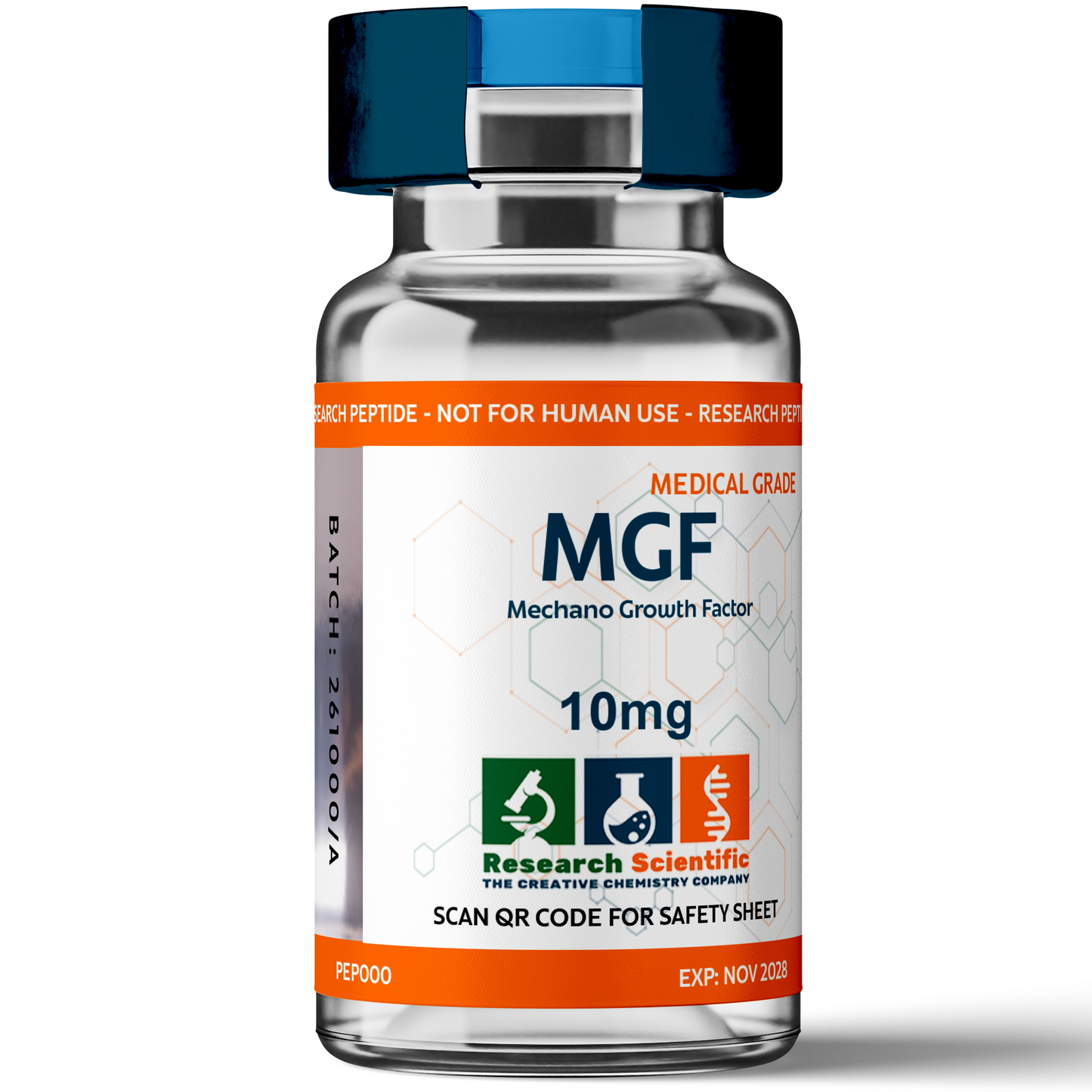 MGF (Mechano Growth Factor)
